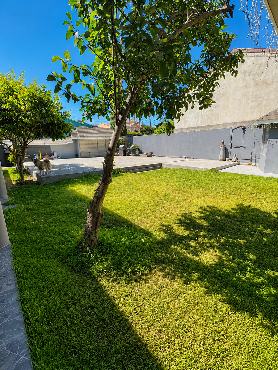 Casa em Lomas de Matamoros, Tijuana, foto 4 de 28