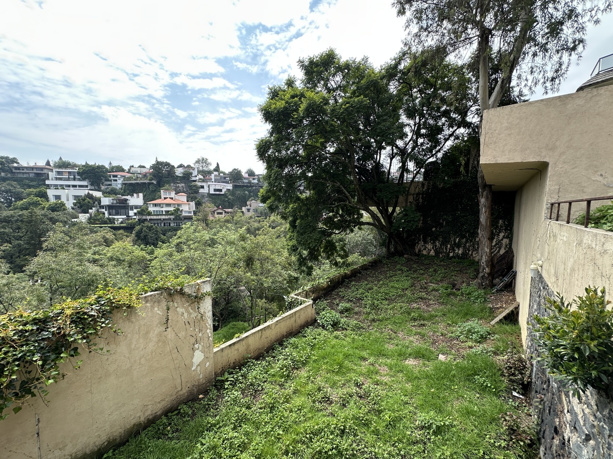 5 de 8
