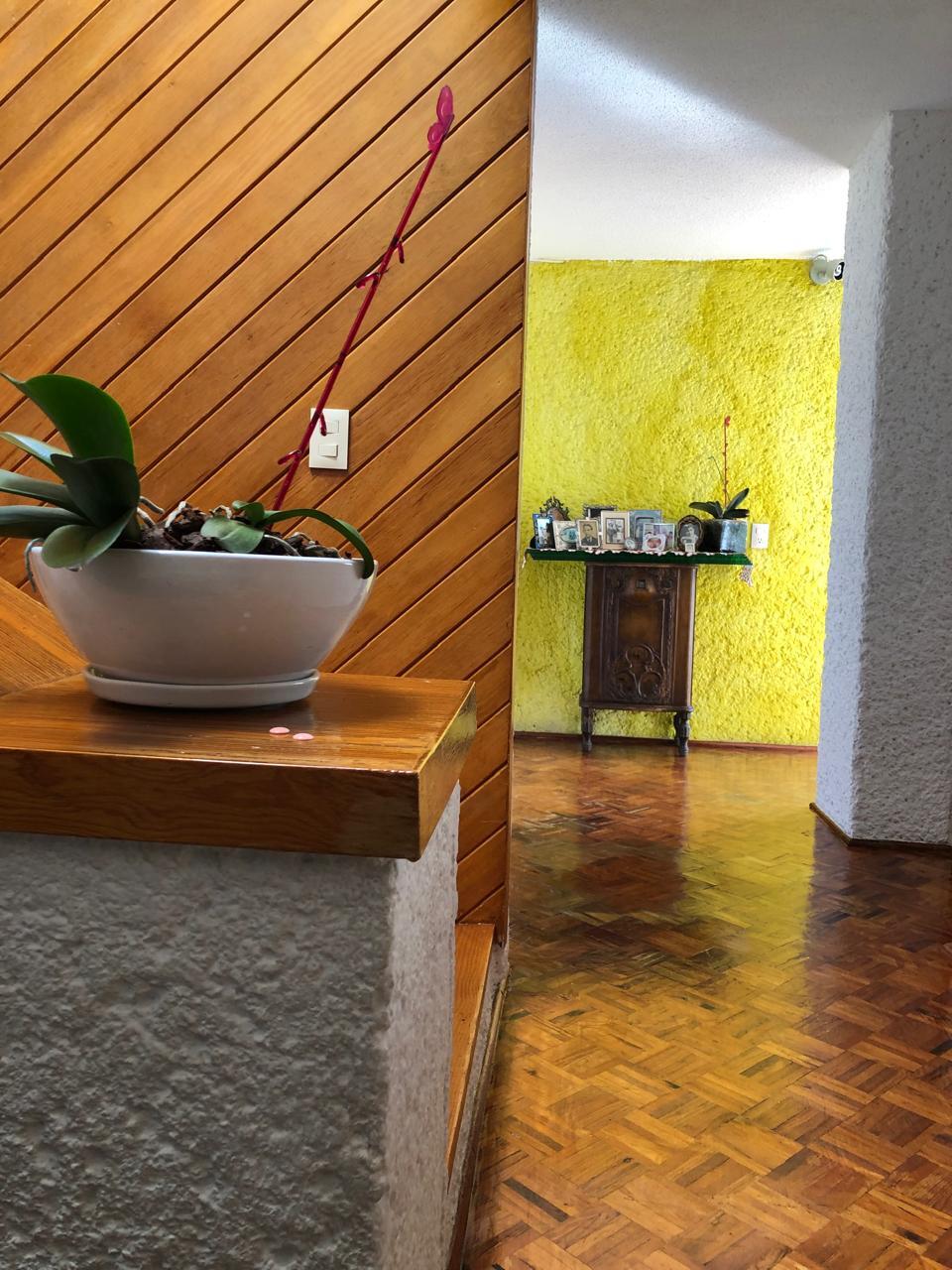 7 de 21