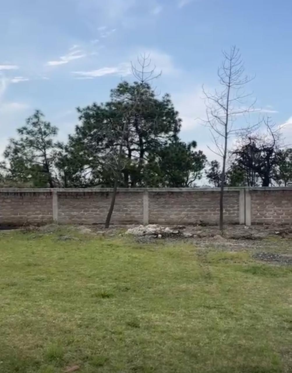 3 de 6