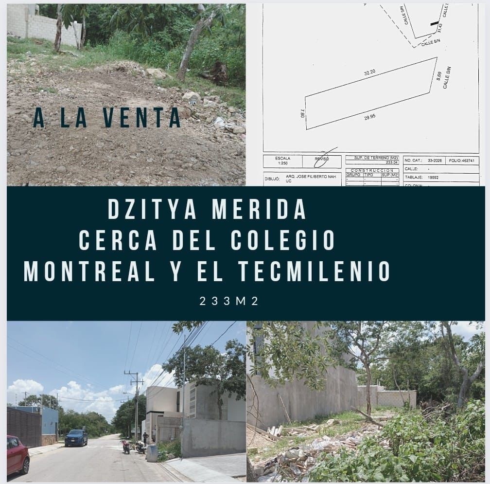 1 de 1