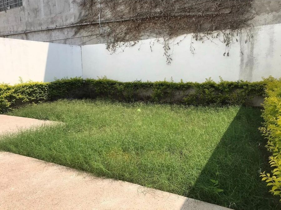 11 de 11