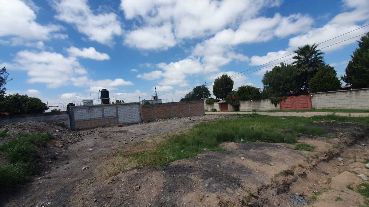 1 de 6