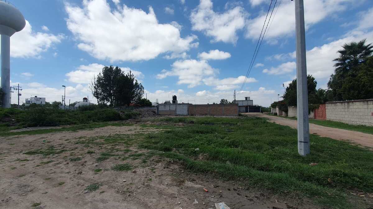 3 de 6