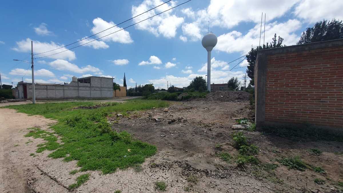 4 de 6