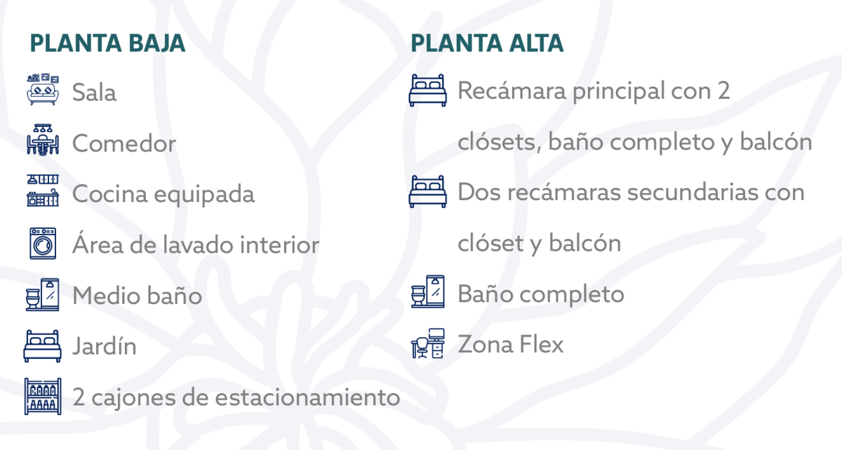 4 de 4