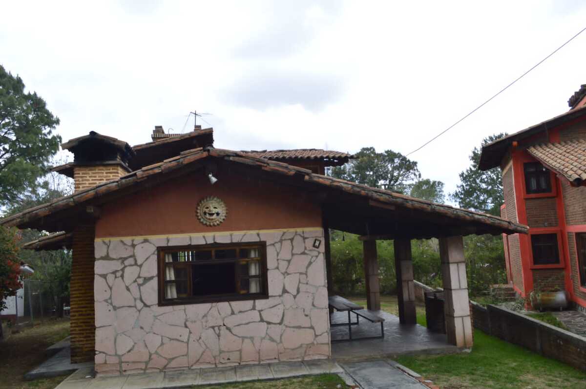 6 de 33