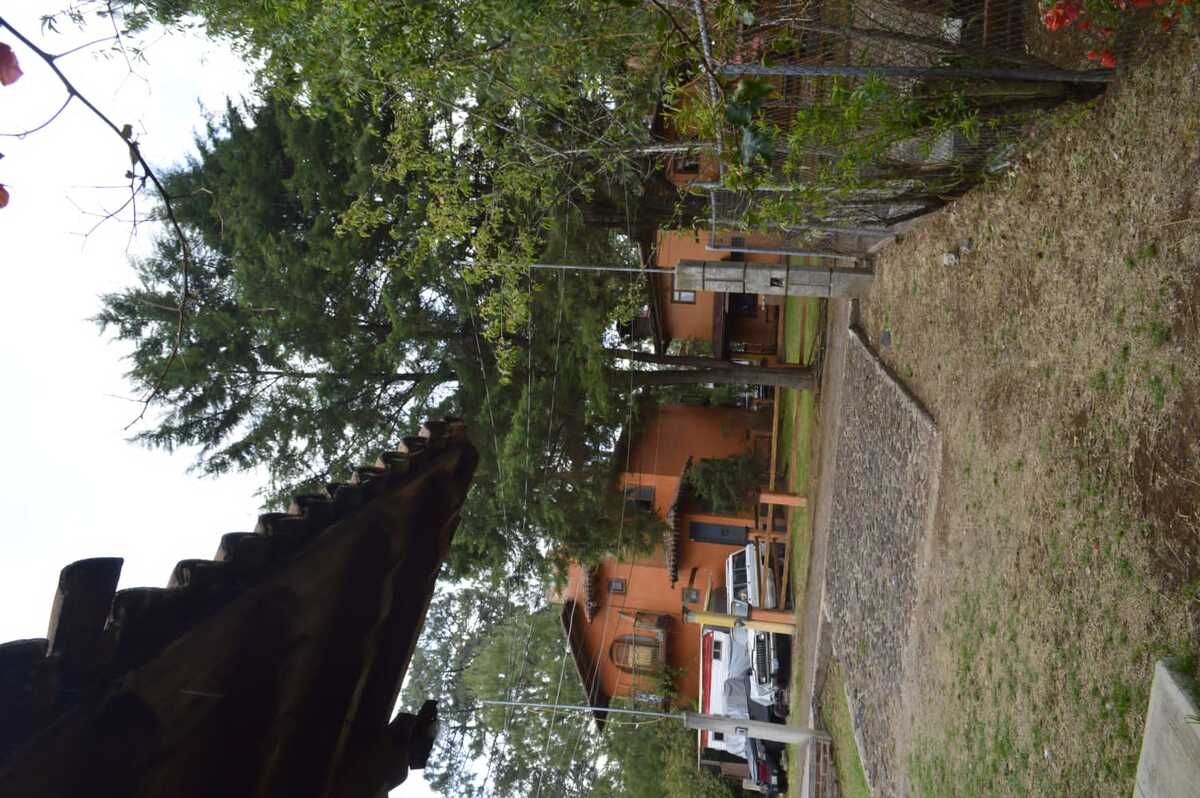14 de 33
