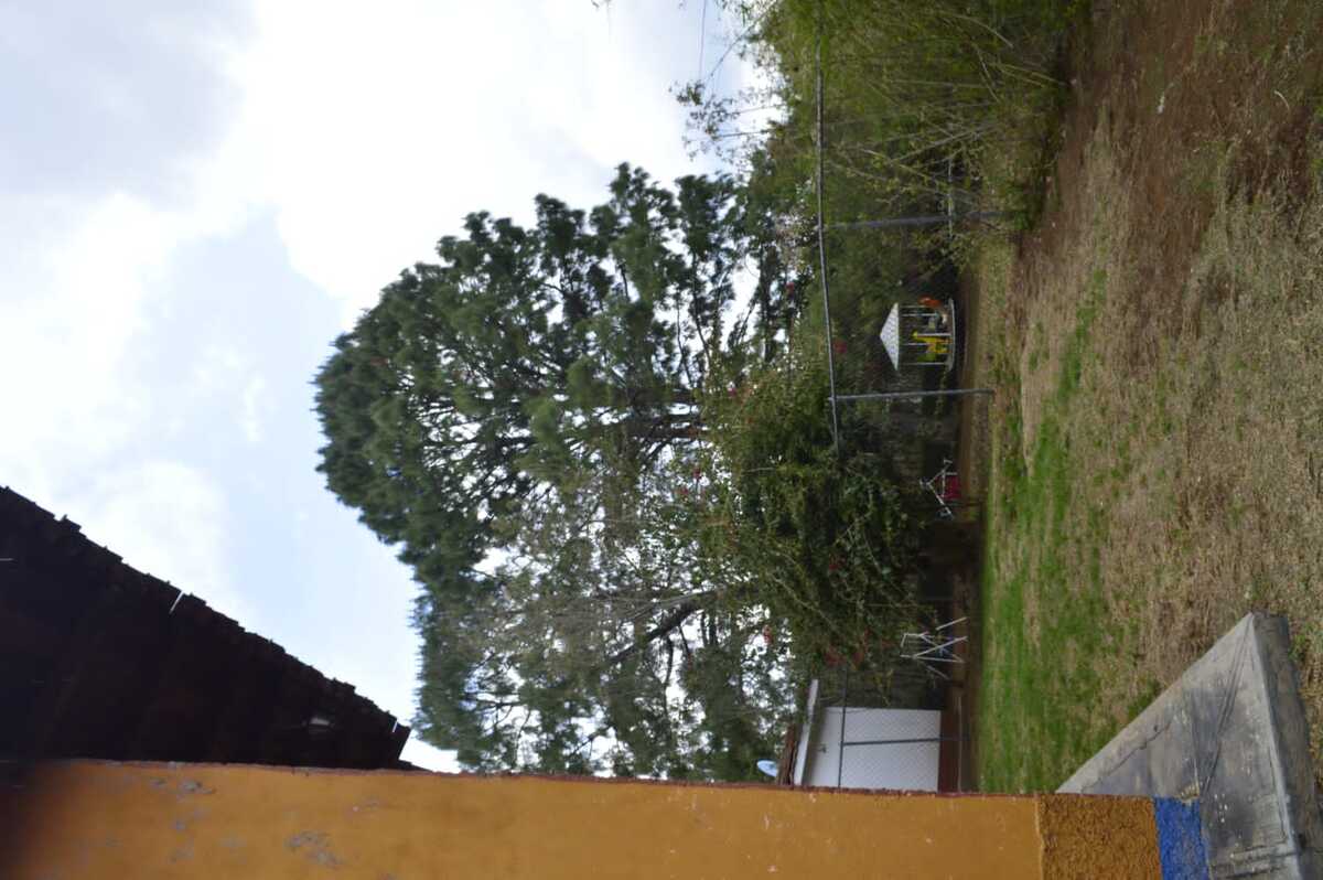 15 de 33