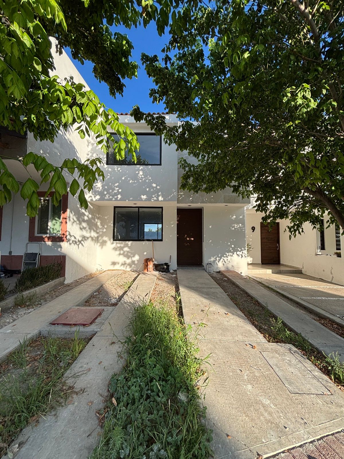 27 of 27: 2 frondosos árboles al frente.