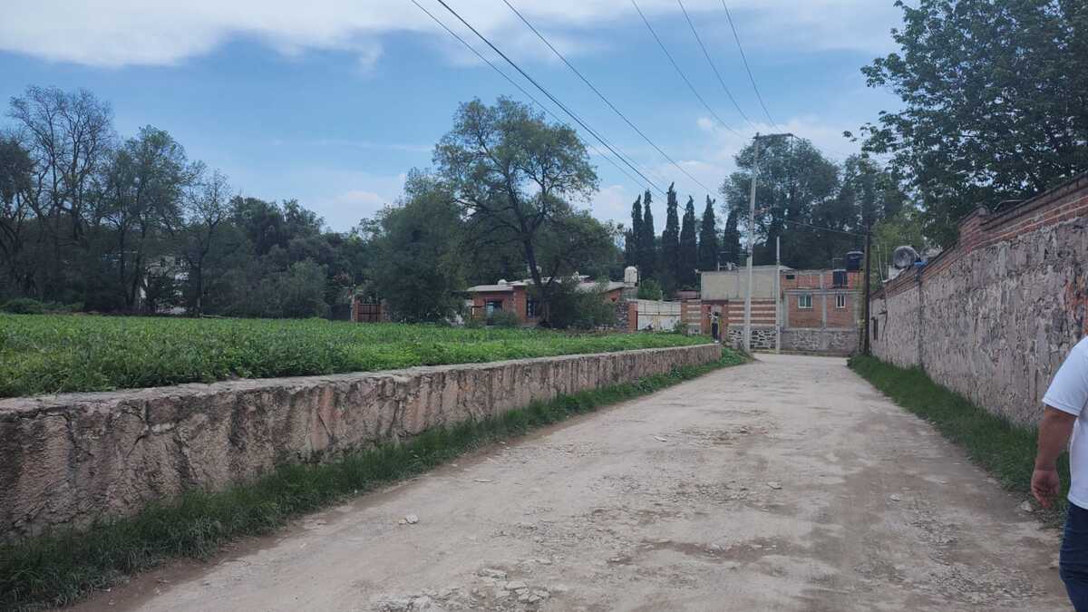 4 de 8