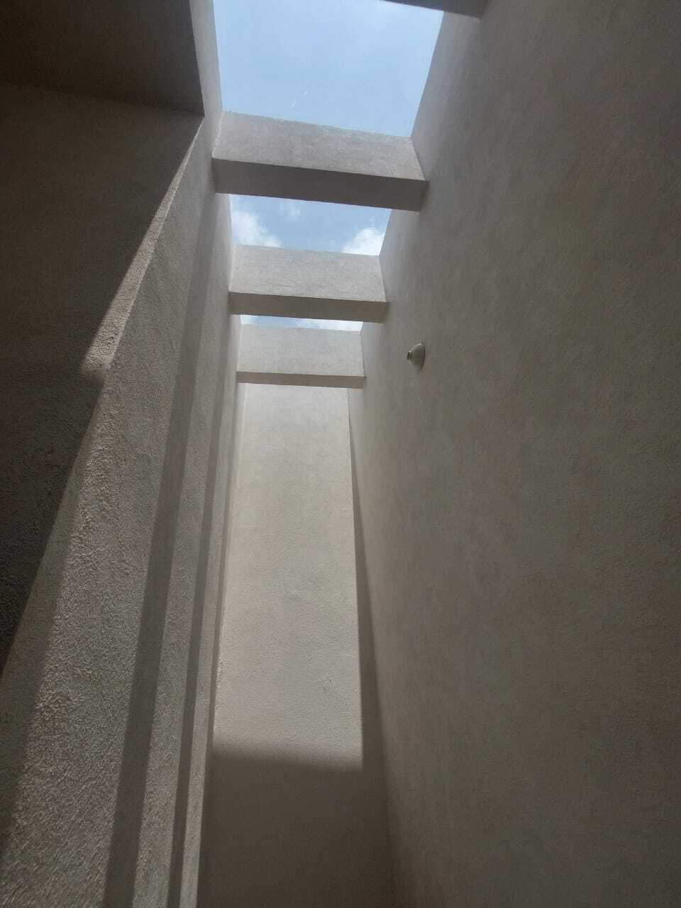 7 de 31