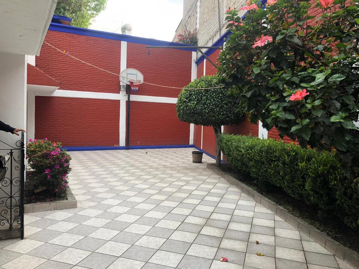 2 de 25: Jardin