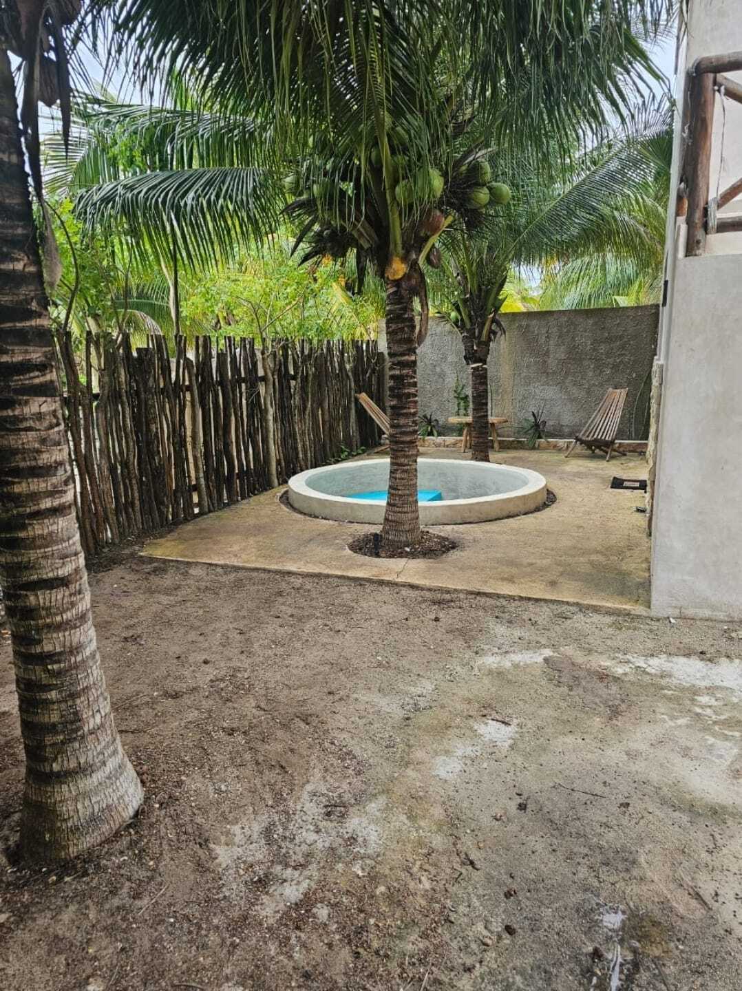 7 de 11