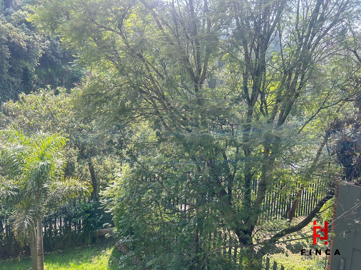 3 de 8