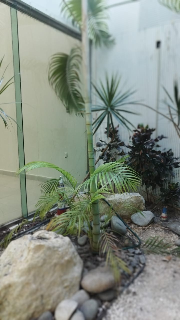 5 of 16