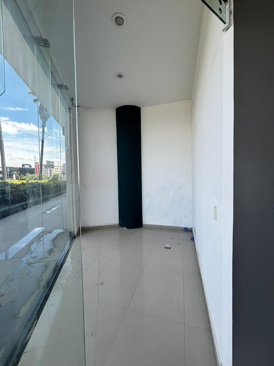 3 de 19