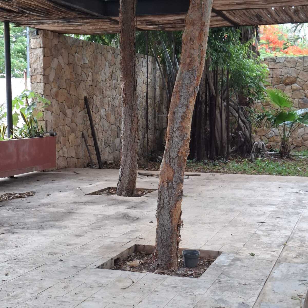 7 de 27