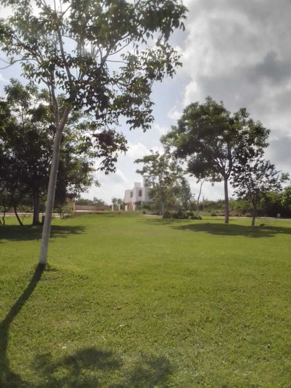 3 de 7