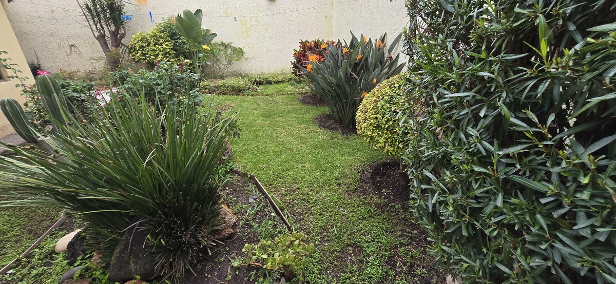 5 de 30