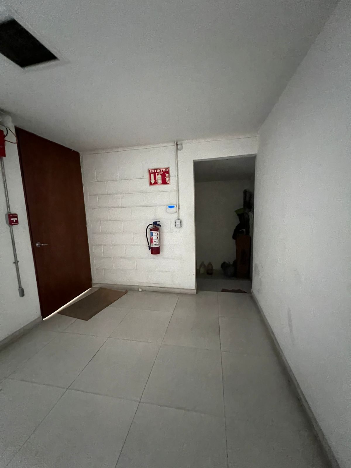 8 de 12