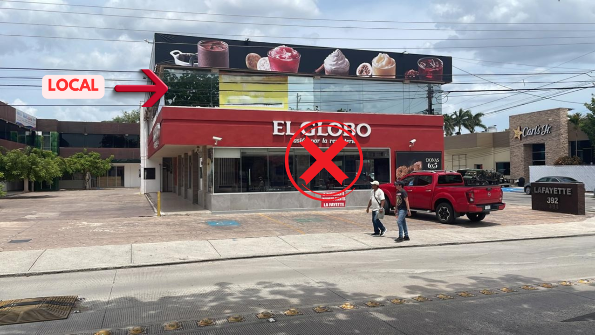 1 de 6