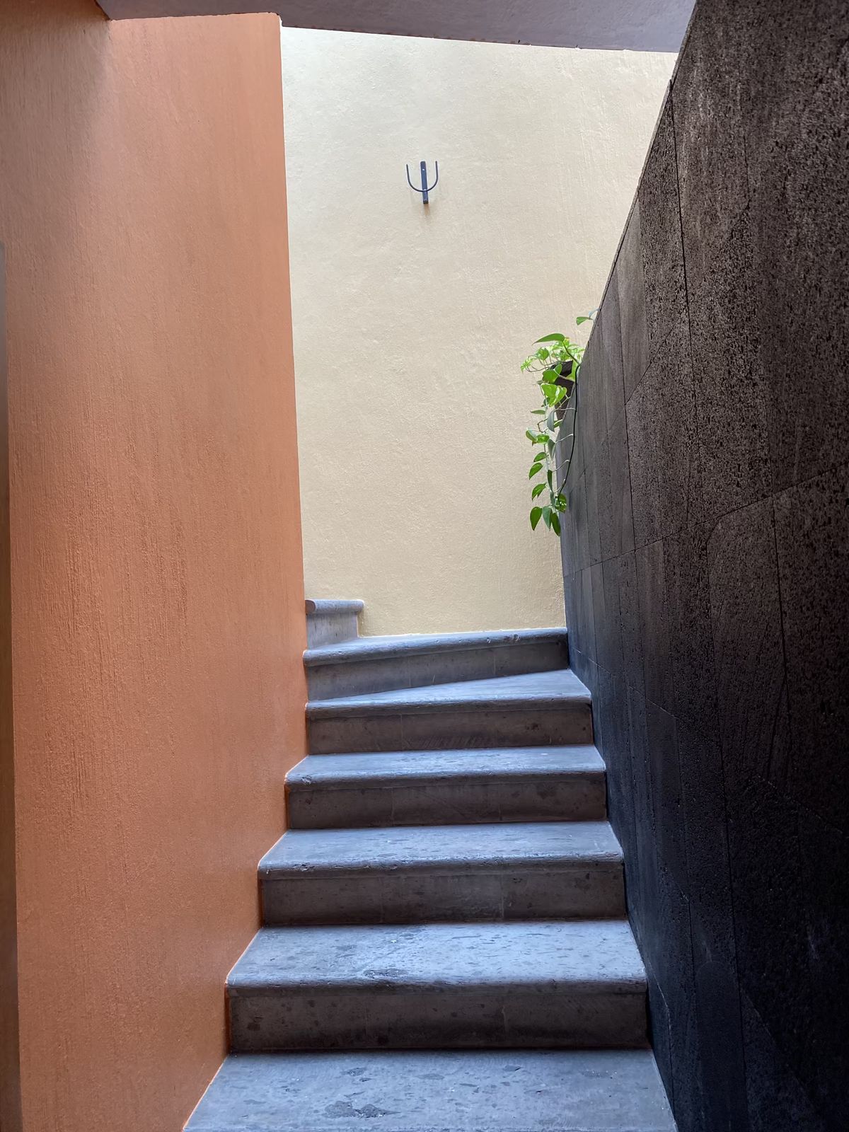 8 de 15