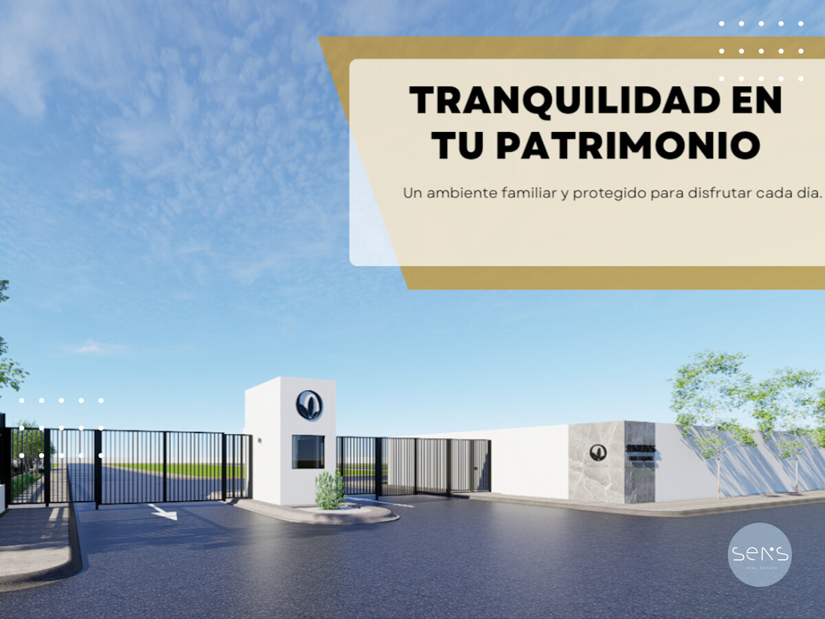 5 de 12