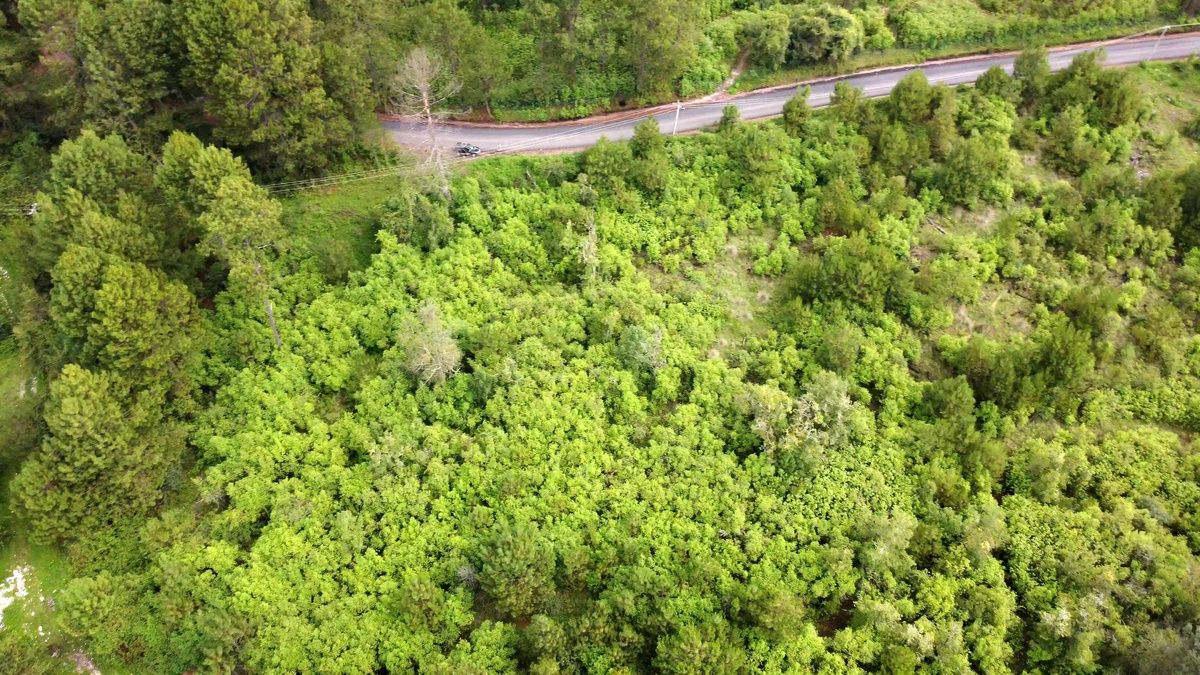 TERRENO MESA RICA VALLE DE BRAVO