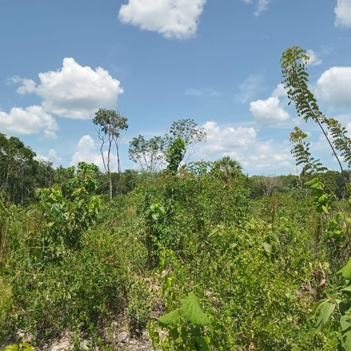 1 de 5