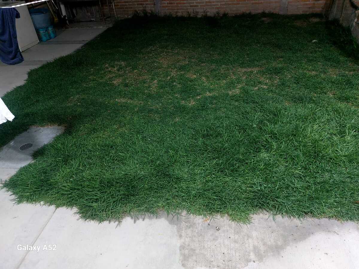 6 de 20