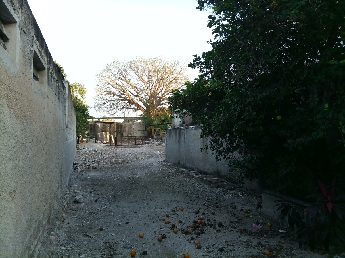 3 de 10