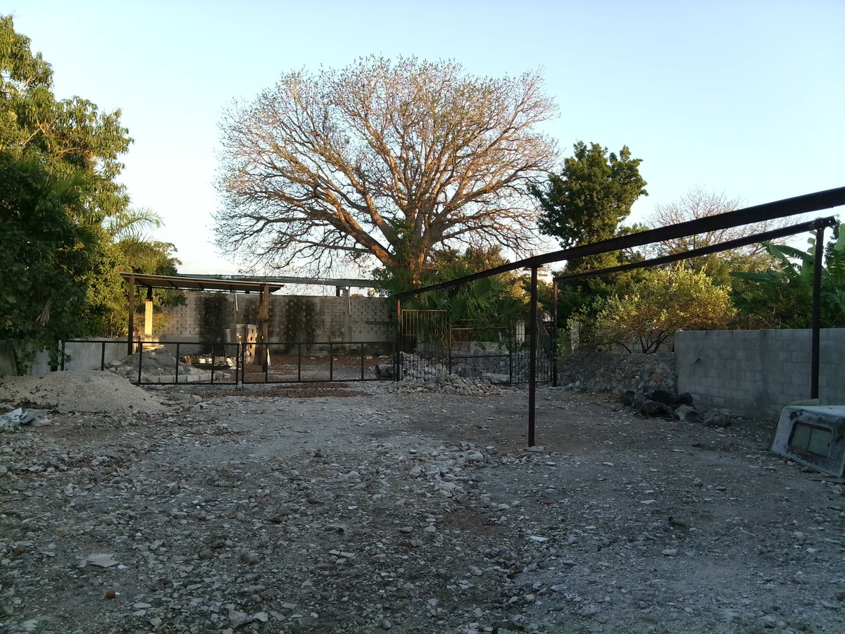 5 de 10