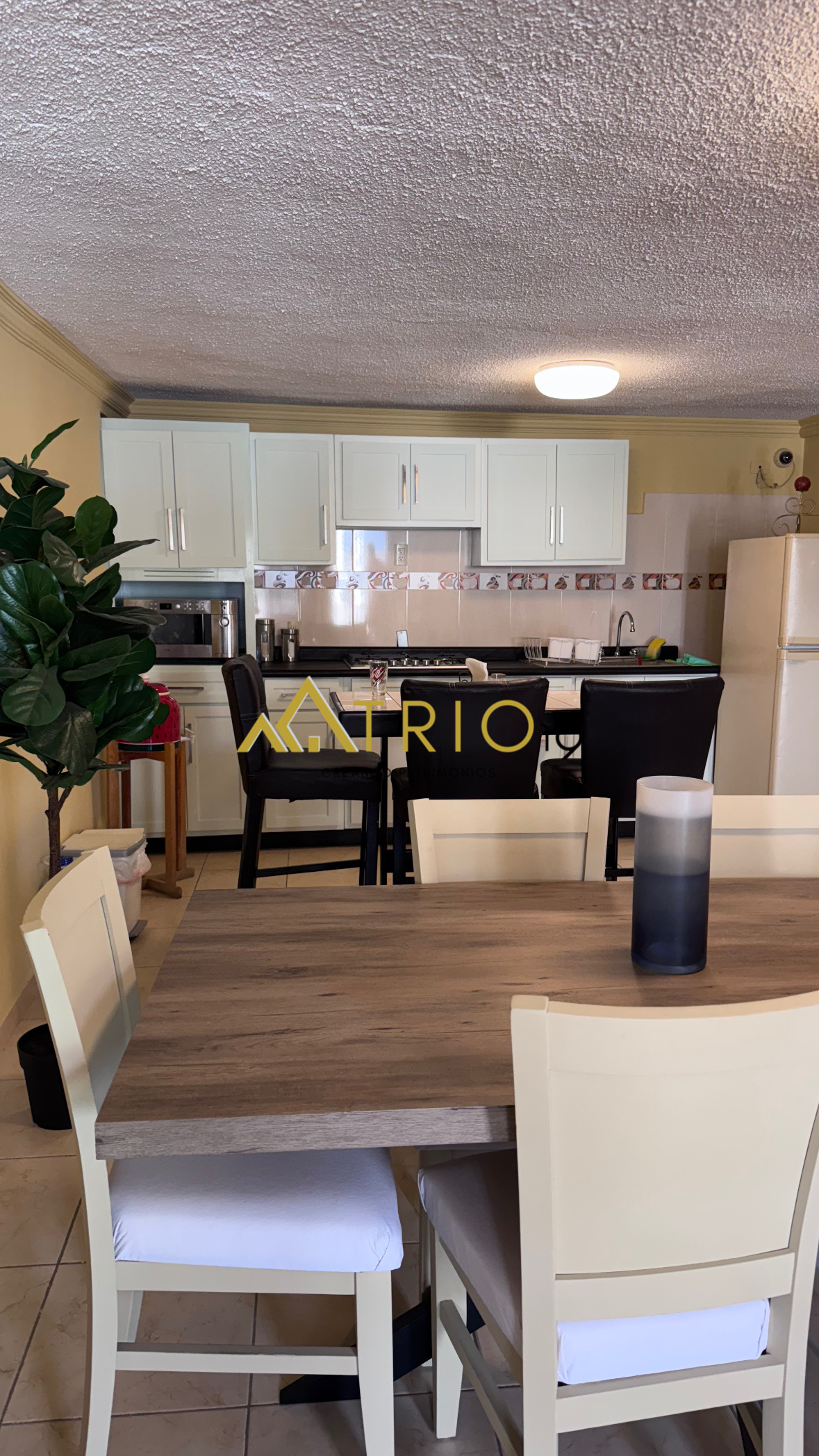 4 of 16: Comedor y cocina