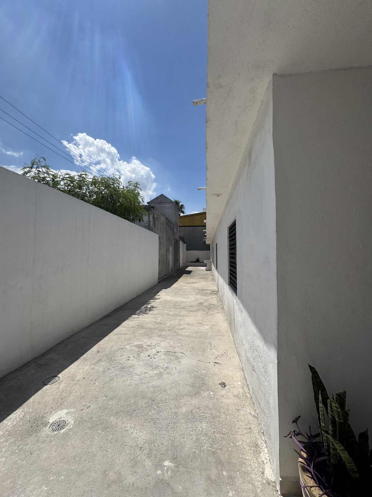 5 de 11