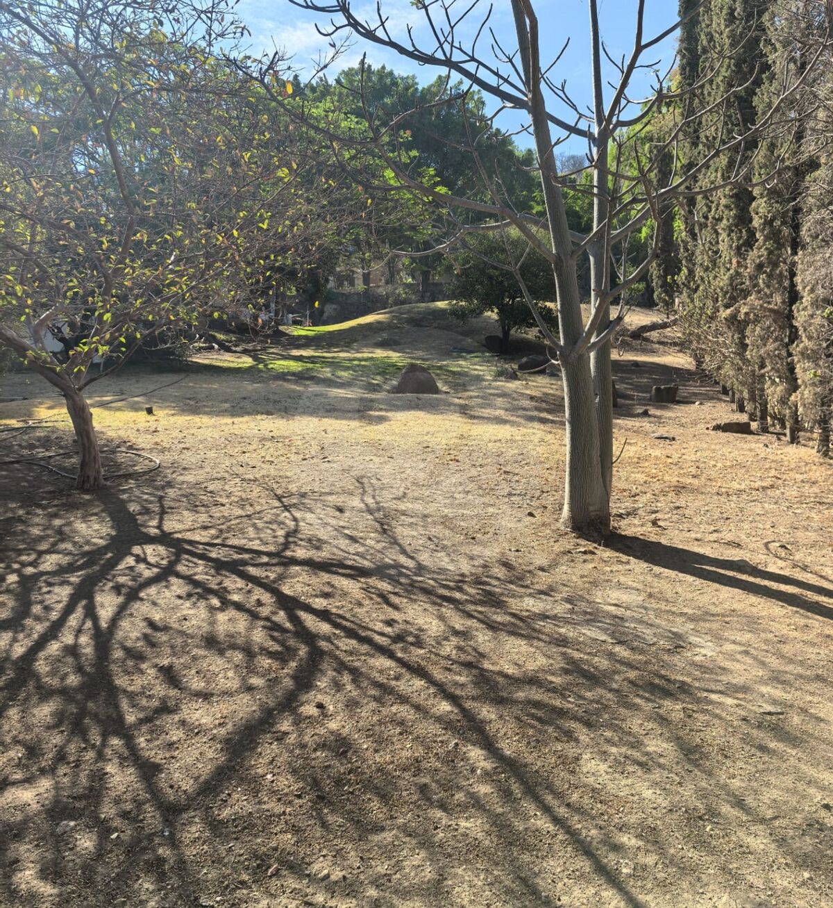 6 de 10