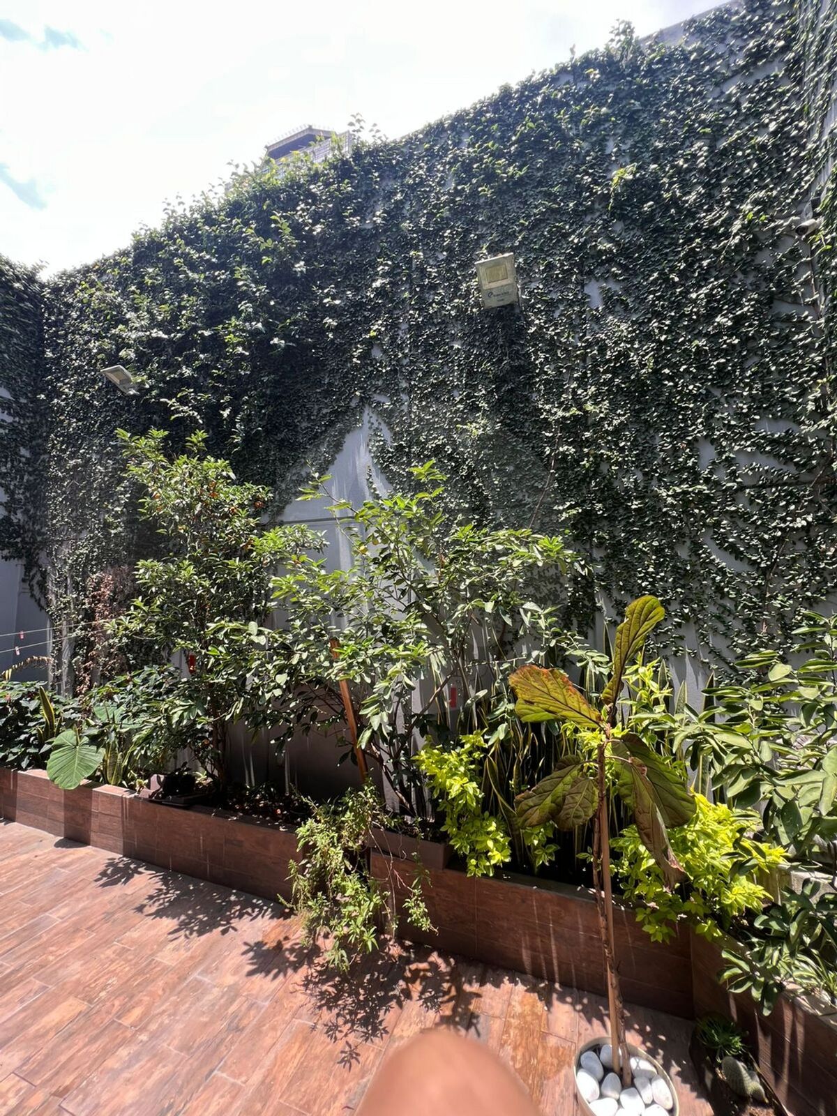 16 de 19