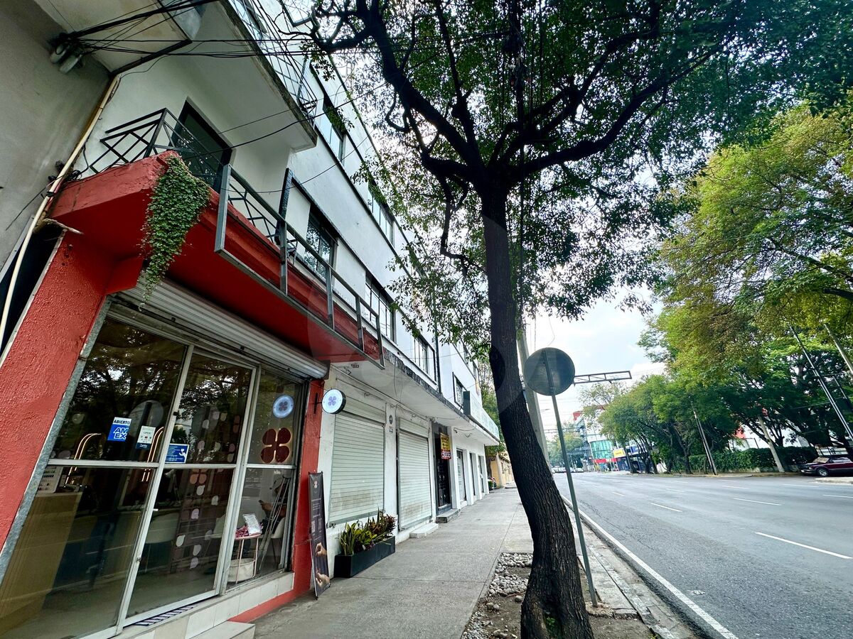 14 de 16