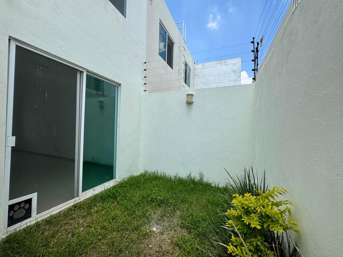 11 de 24