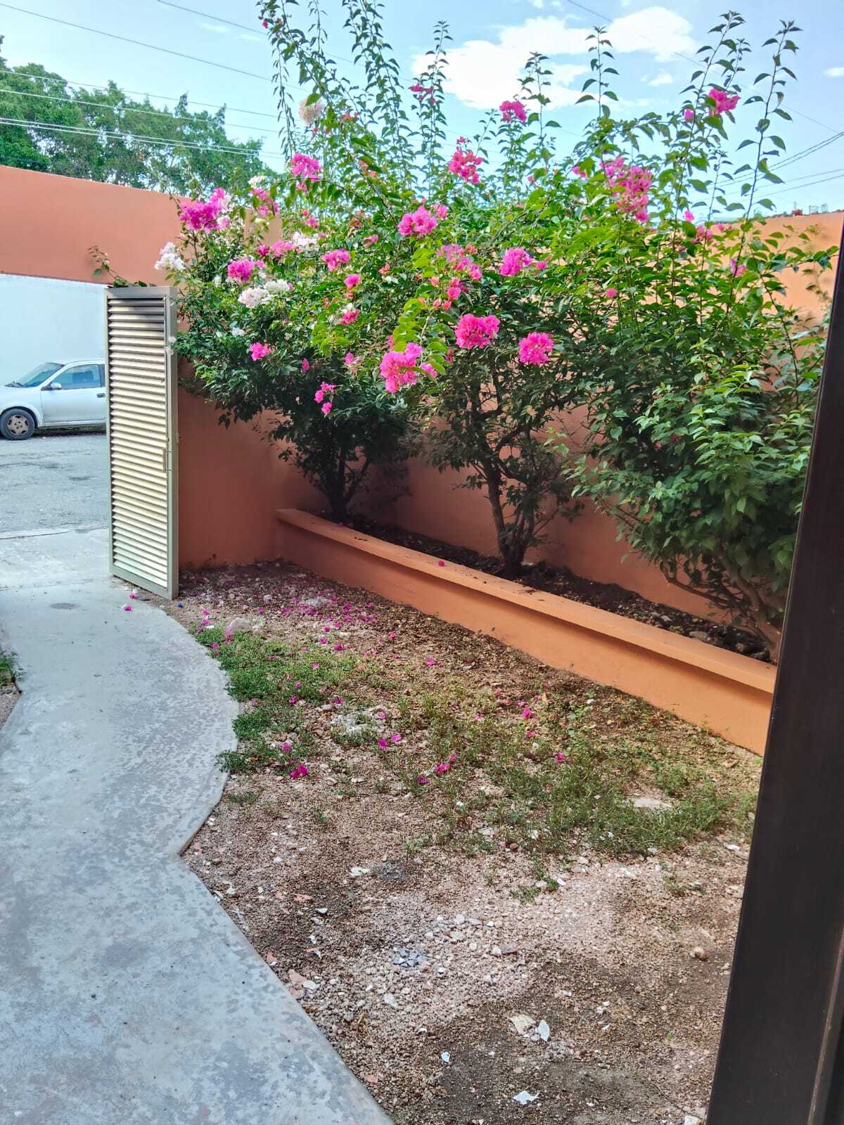 4 de 29