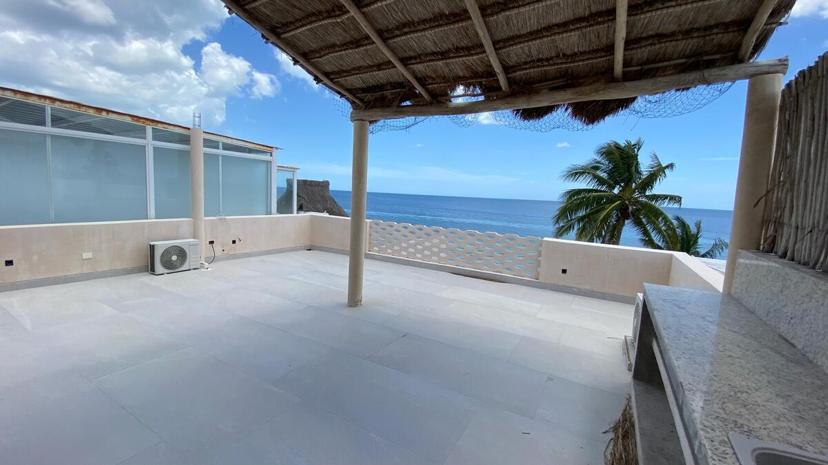 20 de 30: Rooftop con palapa y área de asador