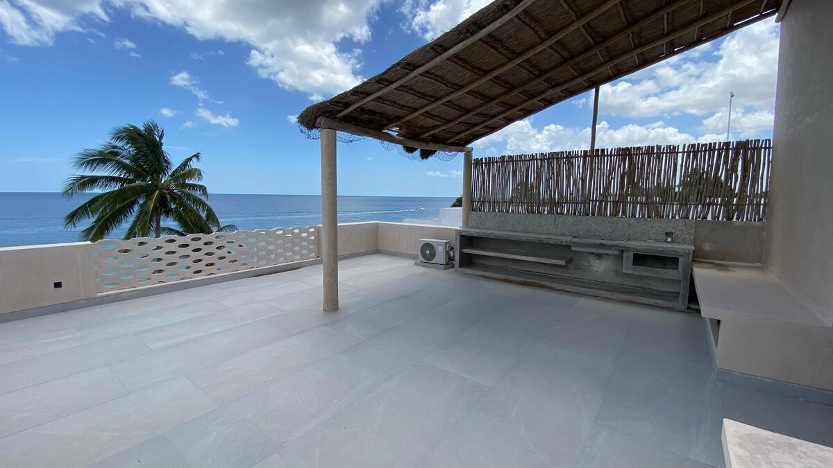 19 de 30: Rooftop con palapa y área de asador