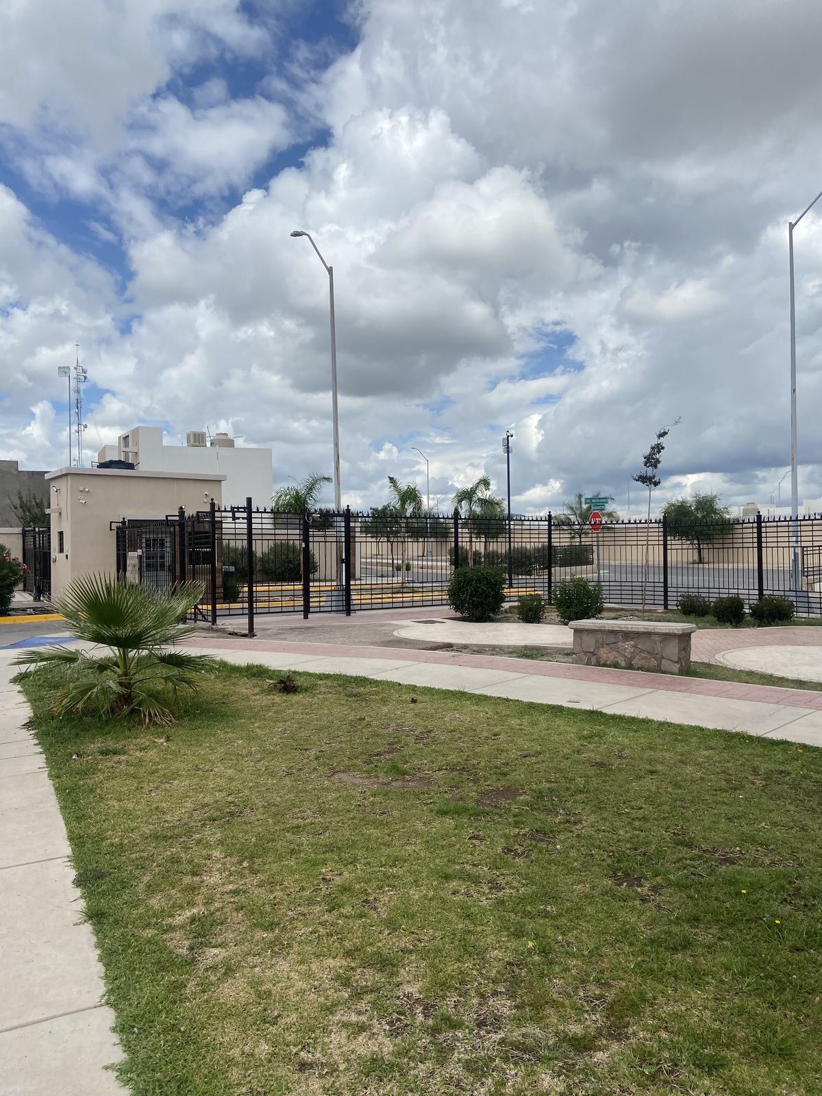 3 de 11