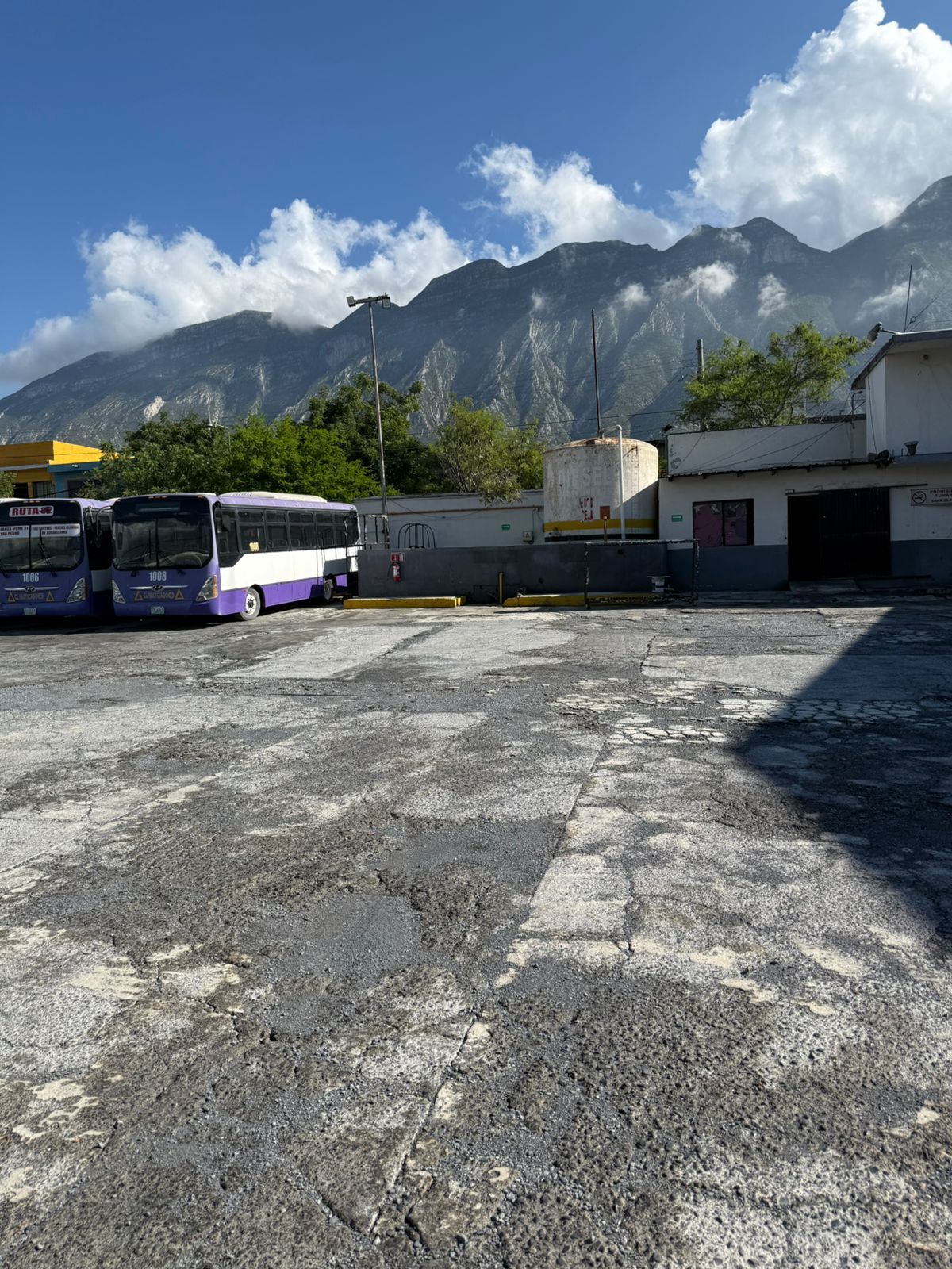 3 de 7