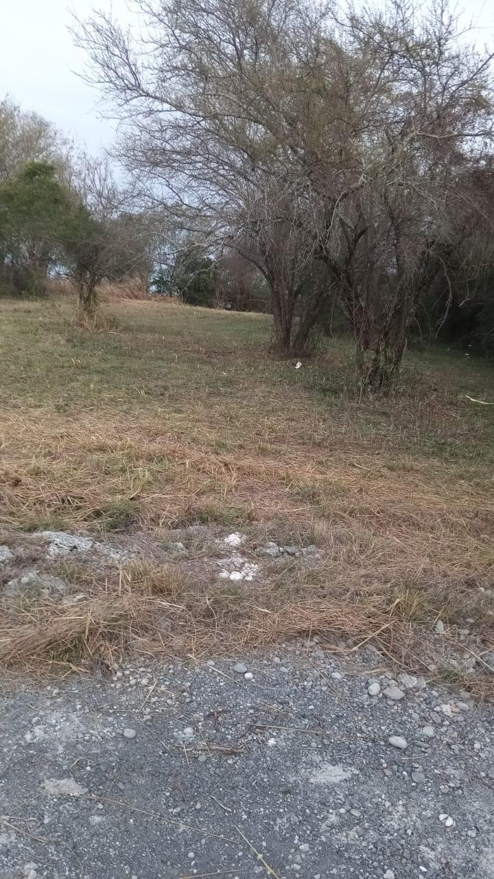 5 de 6