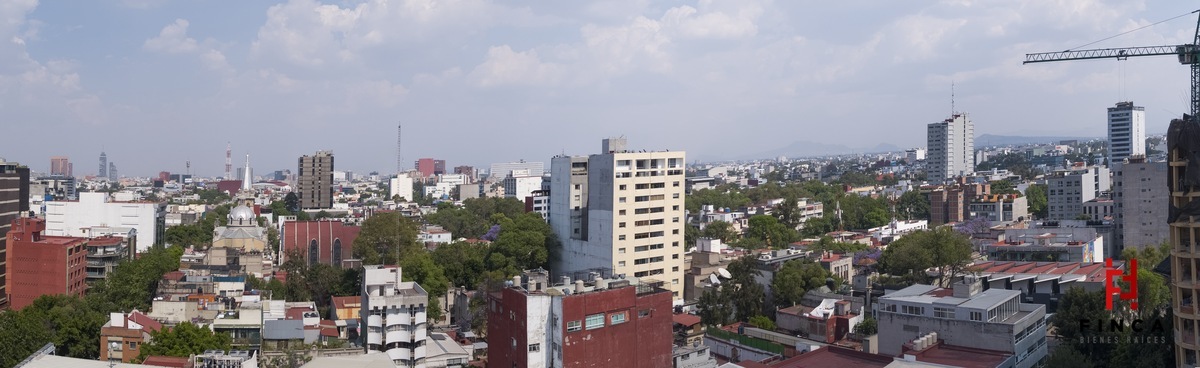 11 de 29