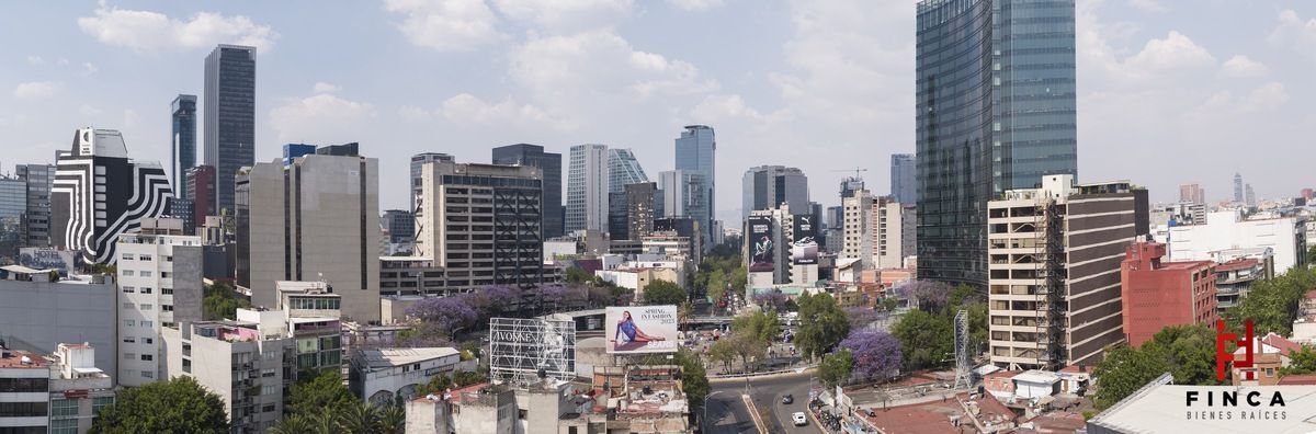 12 de 29
