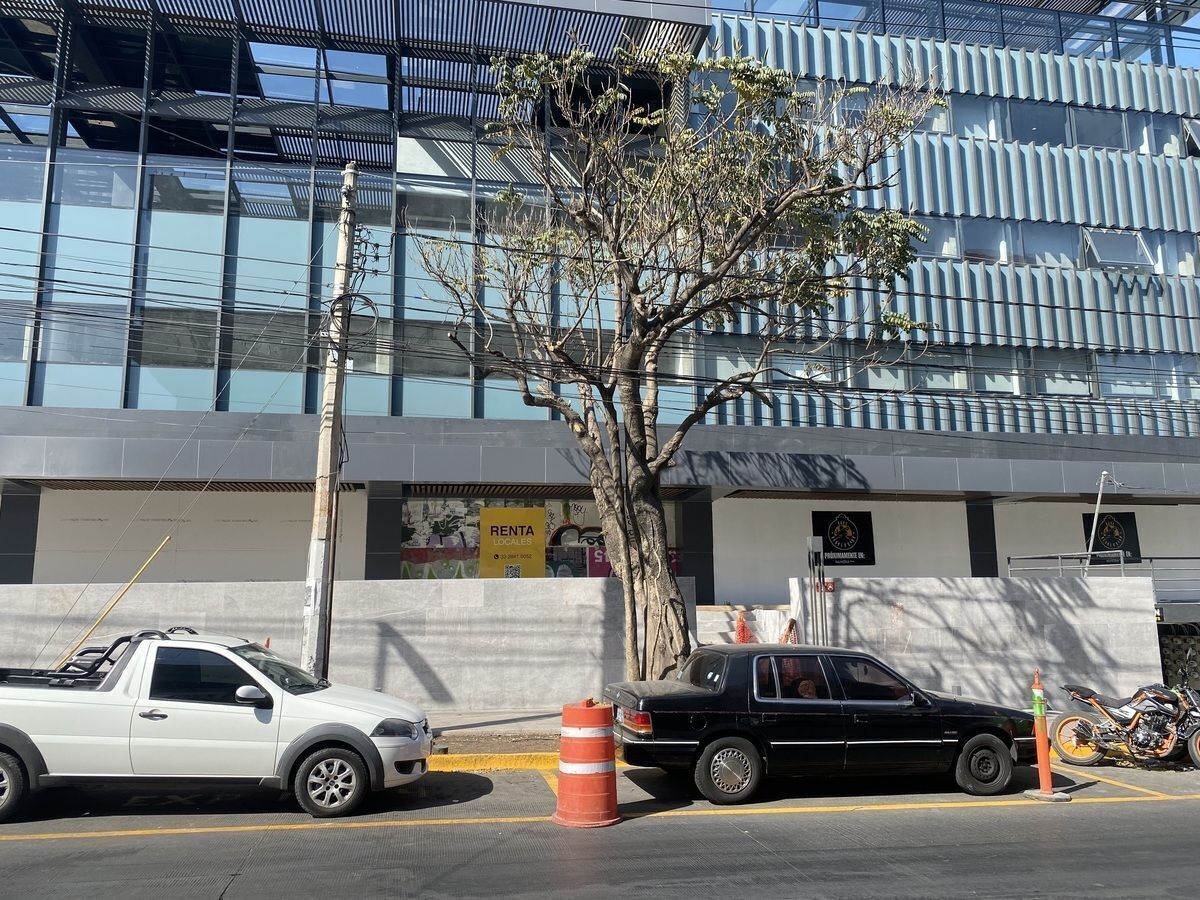 15 de 15