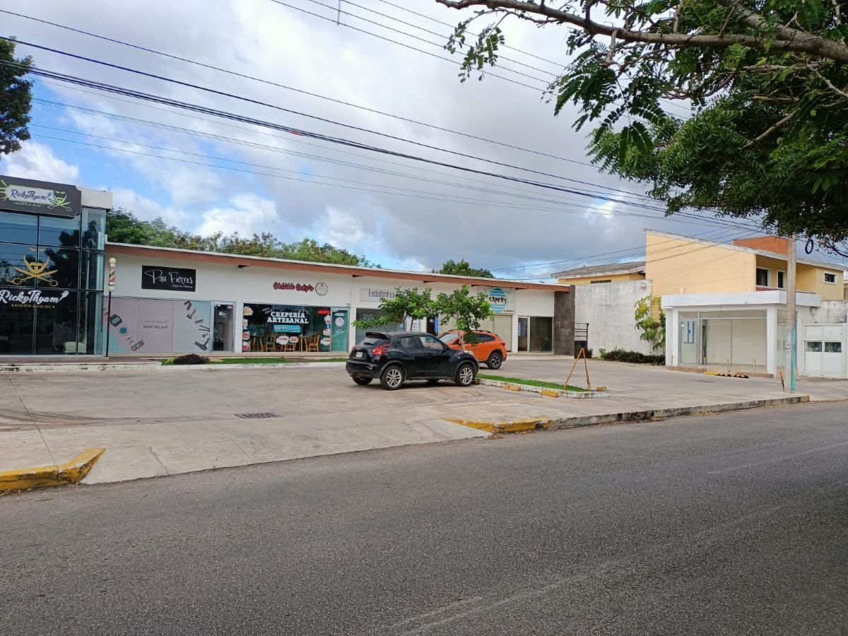 4 de 8