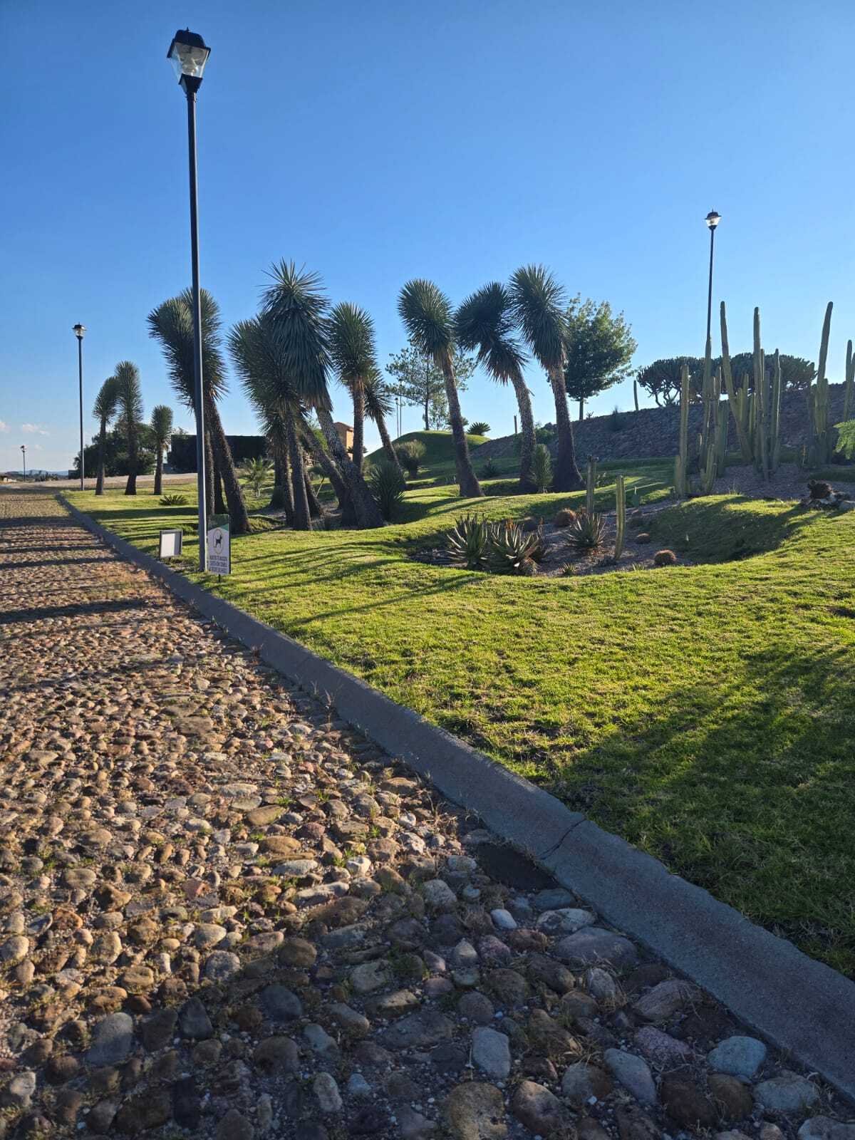 15 de 19